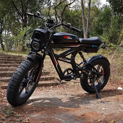 HiQiS Electric Dirt Motorcycle series for off-road adventure with 1000W motor and rugged suspension