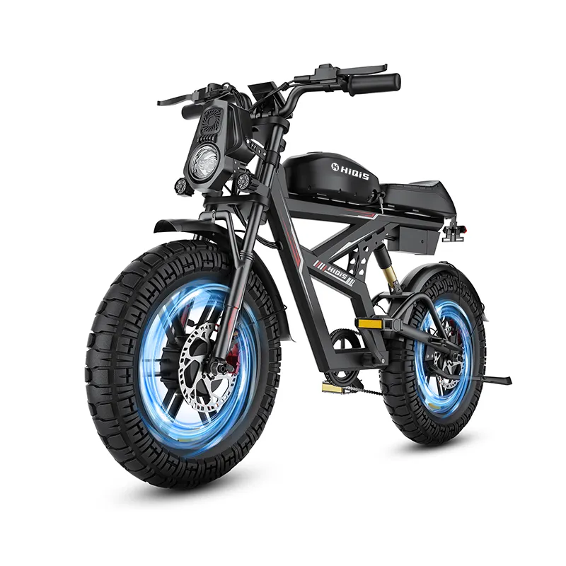 3000W peak dual motor ebike